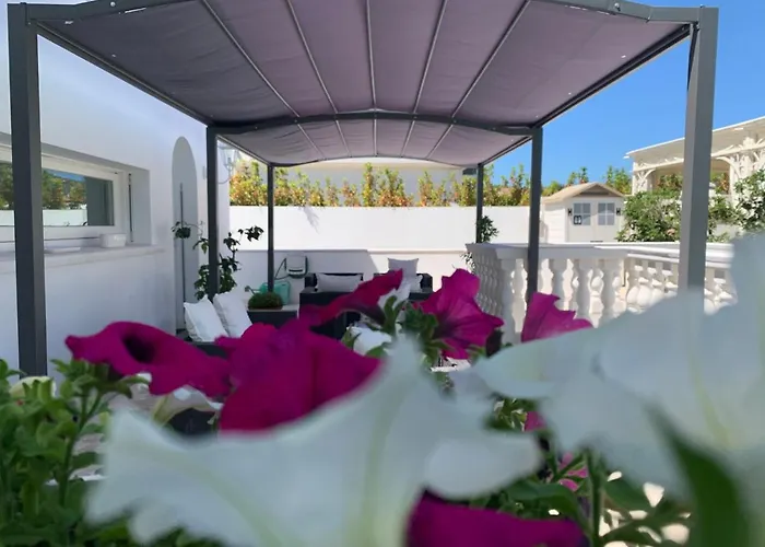 Gasthuis White House Luxury Hospitality 4*