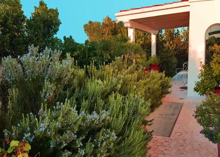 Gasthuis White House Luxury Hospitality 4*