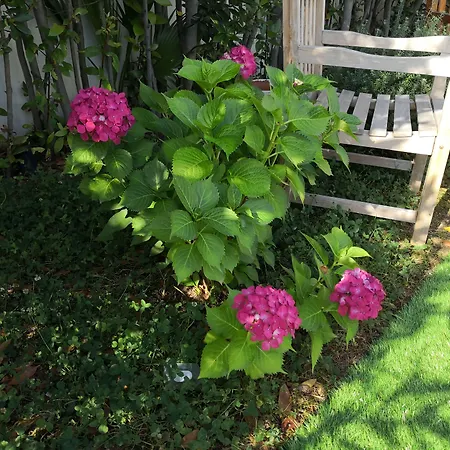 White House Luxury Hospitality بيت ضيافة