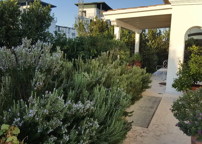 White House Luxury Hospitality 4* Olbia