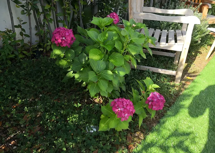 White House Luxury Hospitality Gasthof